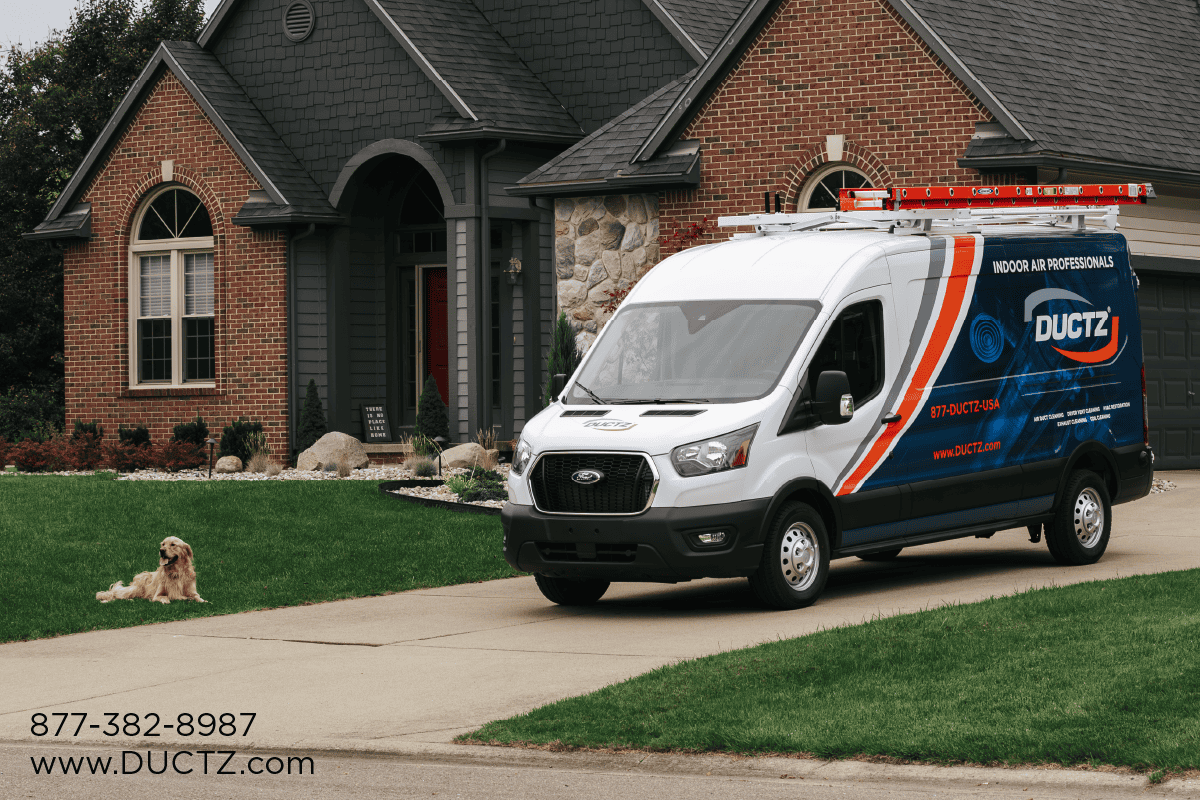 A Pet Owner's Guide to Better Indoor Air Quality