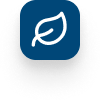 leaf icon
