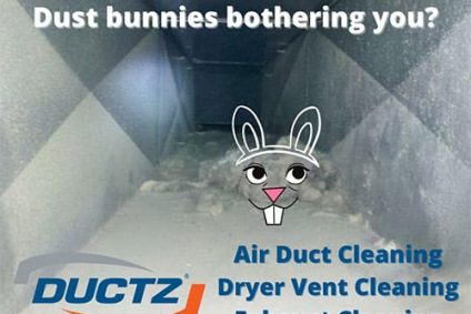 Dust-bunnies-bothering-you